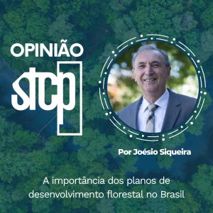 A IMPORTÂNCIA DOS PLANOS DE DESENVOLVIMENTO FLORESTAL NO BRASIL