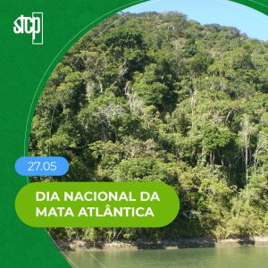 27.05 | DIA NACIONAL DA MATA ATLÂNTICA