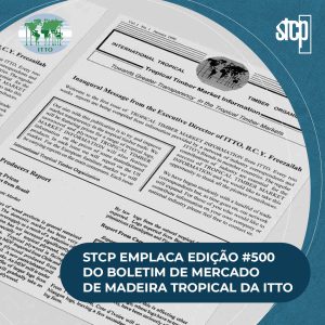 STCP EMPLACA EDIÇÃO #500 DO BOLETIM DE MERCADO DE MADEIRA TROPICAL DA ITTO