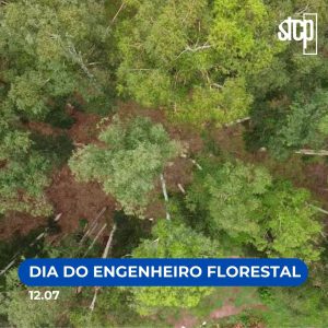 12.07 – Dia do Engenheiro Florestal