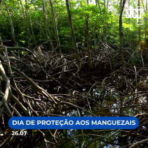 DIA MUNDIAL DE PROTEÇÃO AOS MANGUEZAIS