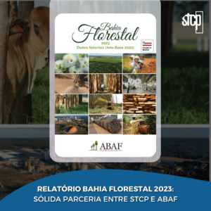 Relatório Bahia Florestal 2023: sólida parceria entre STCP e ABAF