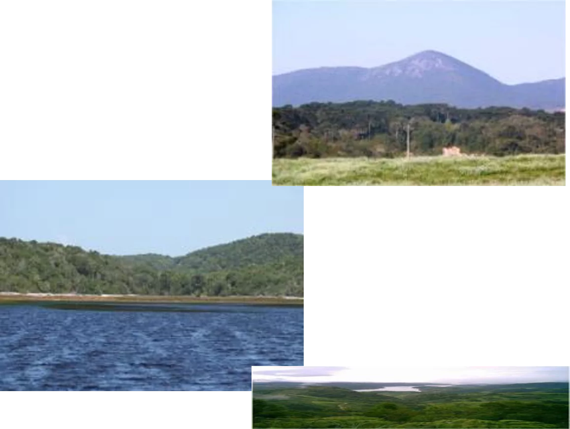 ELABORAÇÃO DO PLANO DE MANEJO DO PARQUE ESTADUAL DA SERRA DA BAITACA, PARANÁ