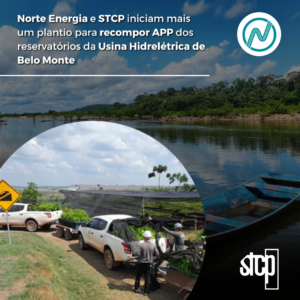 Norte Energia e STCP iniciam mais um plantio para recompor Área de Preservação Permanente dos reservatórios da Usina Hidrelétrica de Belo Monte