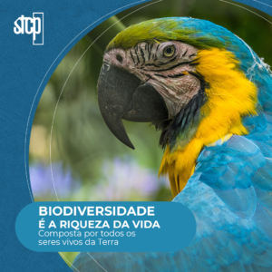 Biodiversidade: O Que É? Qual sua Importância?