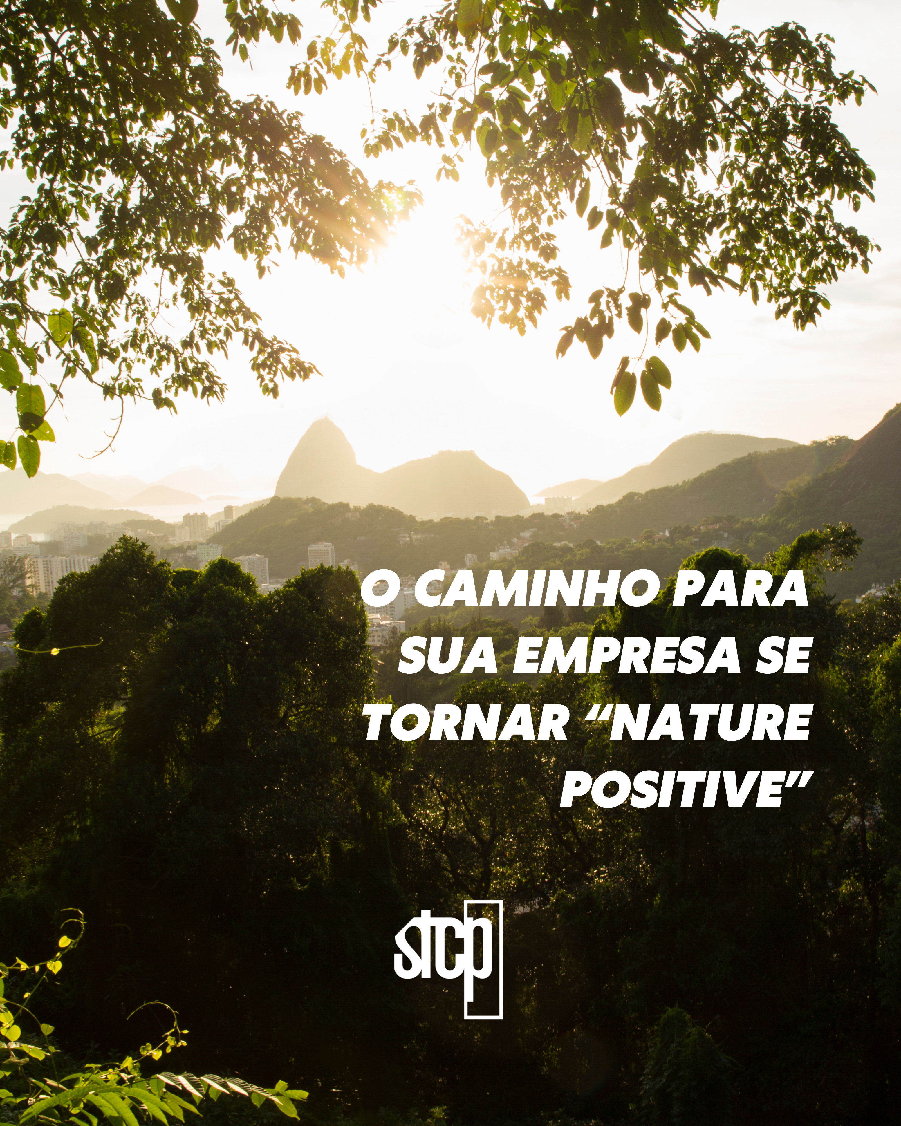 O Caminho para sua empresa se Tornar “Nature Positive”