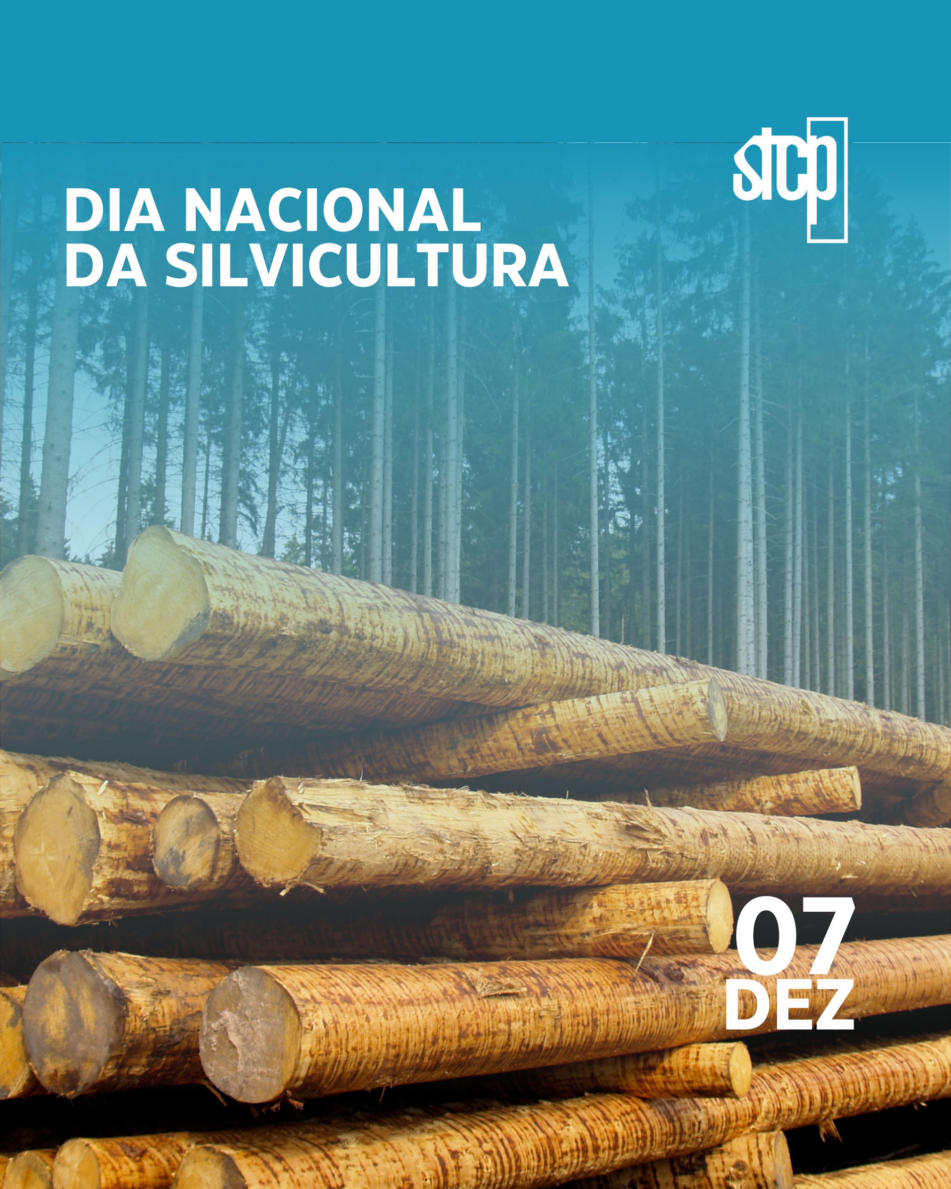 Dia Nacional da Silvicultura – 07 de Dezembro