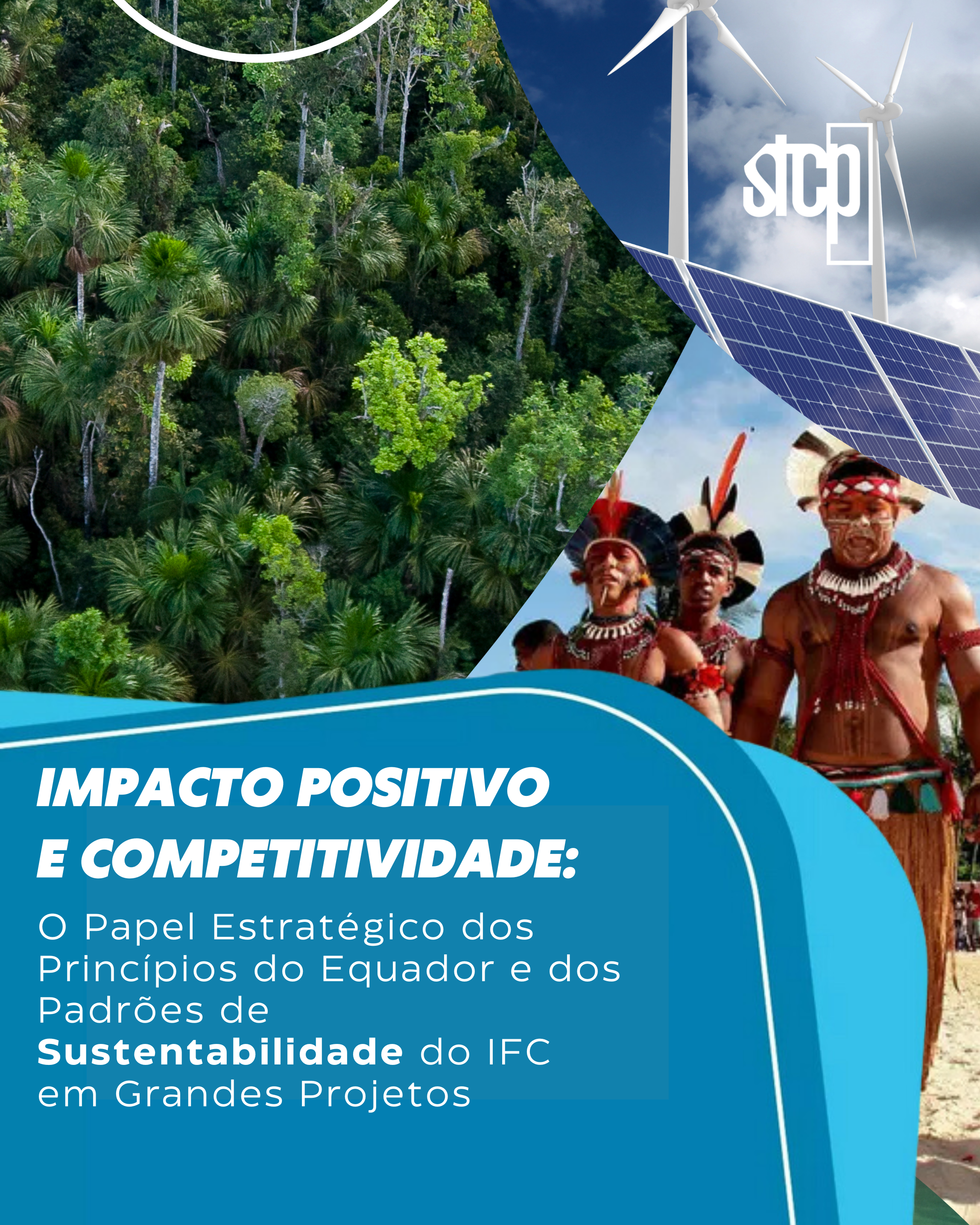 “Impacto Positivo e Competitividade: O Papel Estratégico dos Princípios do Equador e dos Padrões de Sustentabilidade do IFC em Grandes Projetos”