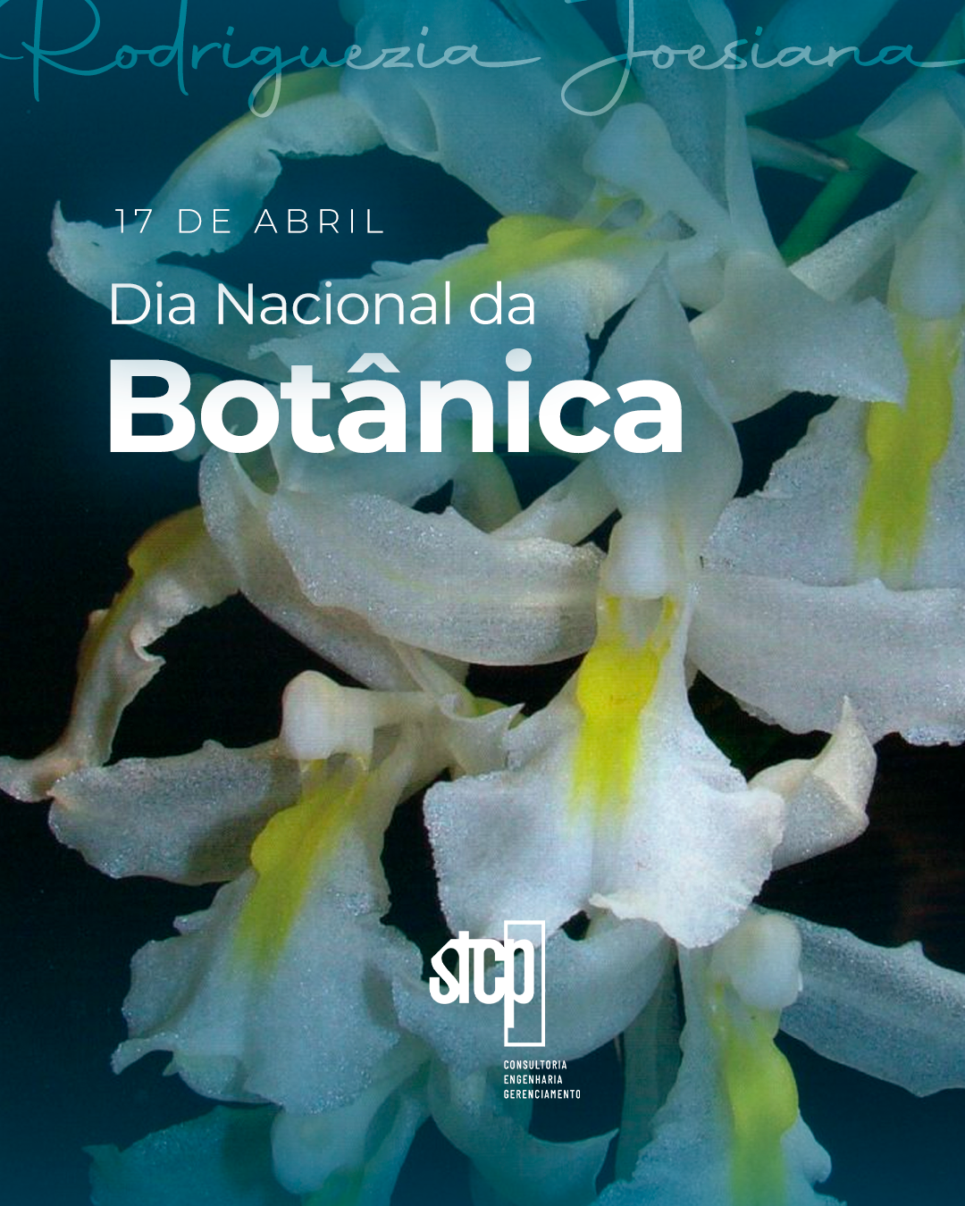 17 de abril – Dia Nacional da Botânica