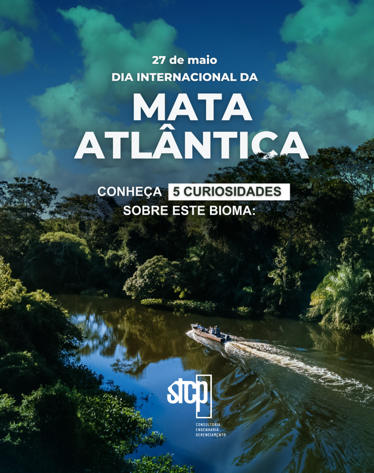 MATA ATLÂNTICA (5)