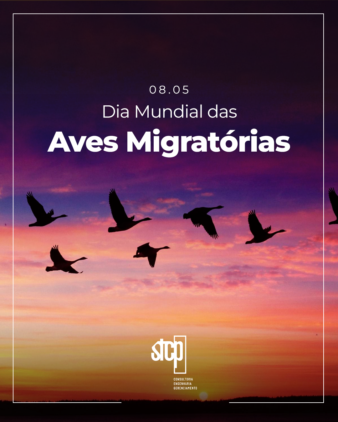 DIA MUNDIAL DAS AVES MIGRATÓRIAS | 13 DE MAIO