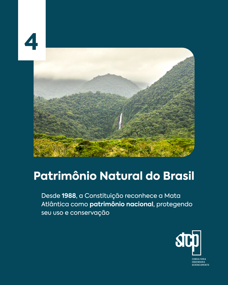 STPC_Sazonal_v4_5 (1)