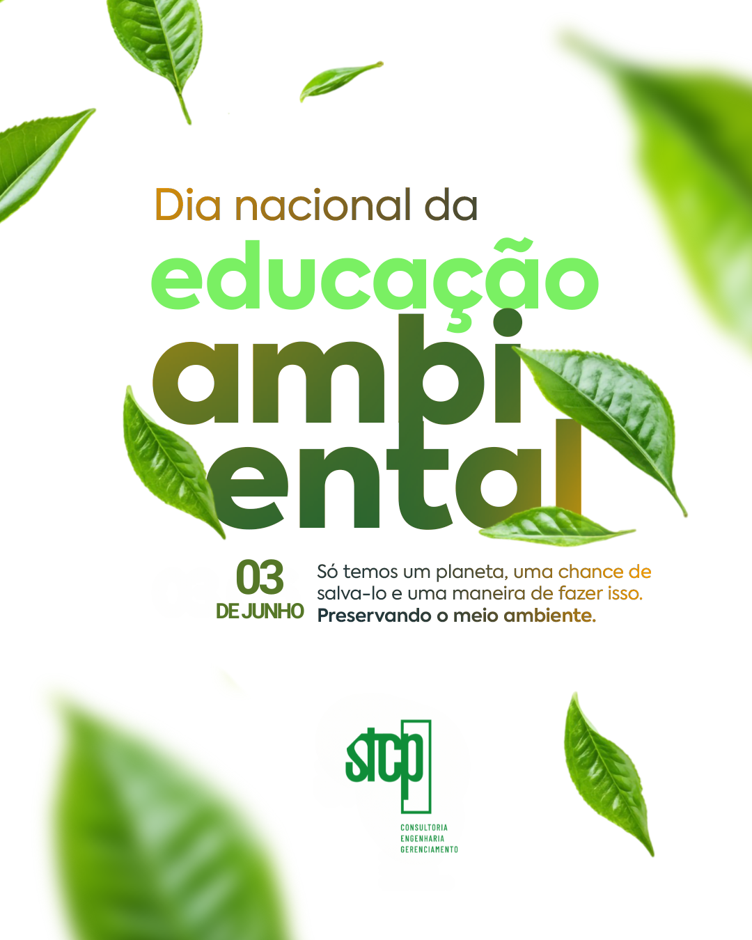 03 de Junho | DIA NACIONAL DA EDUCAÇÃO AMBIENTAL