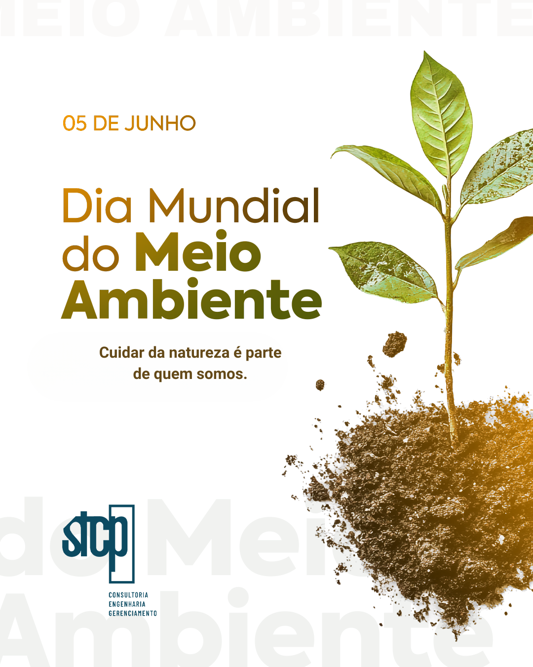 05 de junho | Dia Mundial do Meio Ambiente