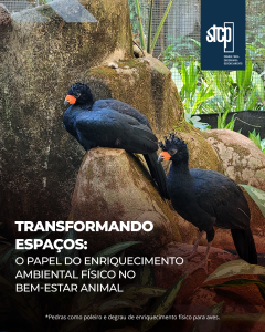 Transformando espaços:                                                                                  o papel do enriquecimento ambiental físico no bem-estar animal