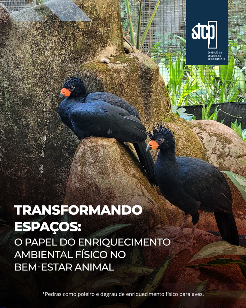 Transformando espaços: o papel do enriquecimento ambiental físico no bem-estar animal