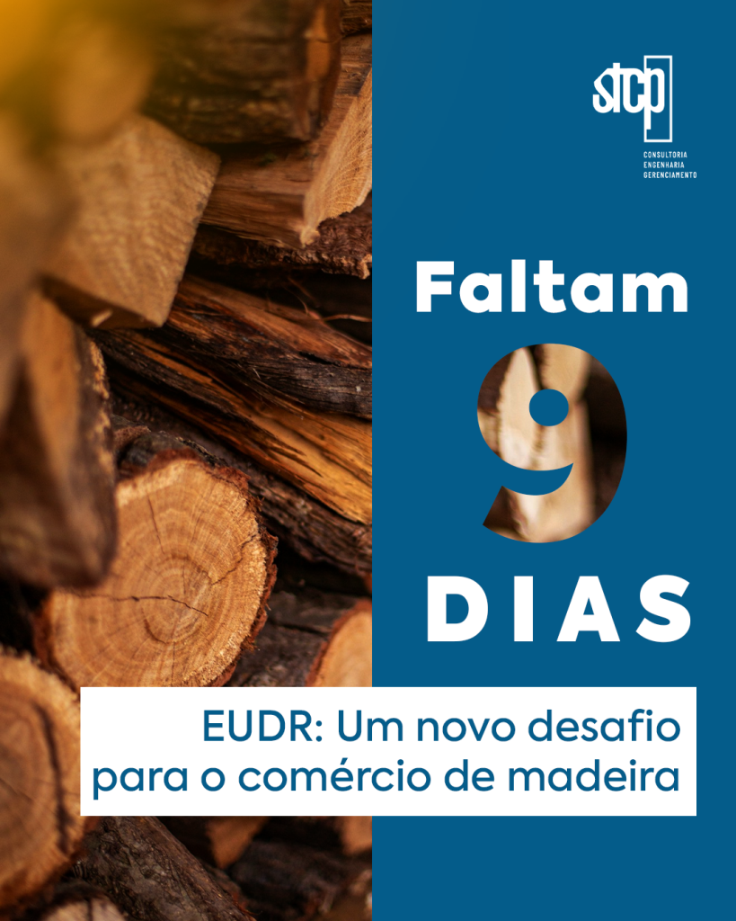 EUDR: o marco regulatório que redefine o comércio de madeira.