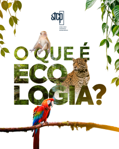 Você sabe o que é Ecologia?