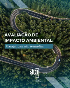 Avaliação de Impacto Ambiental: Planejar para não remediar