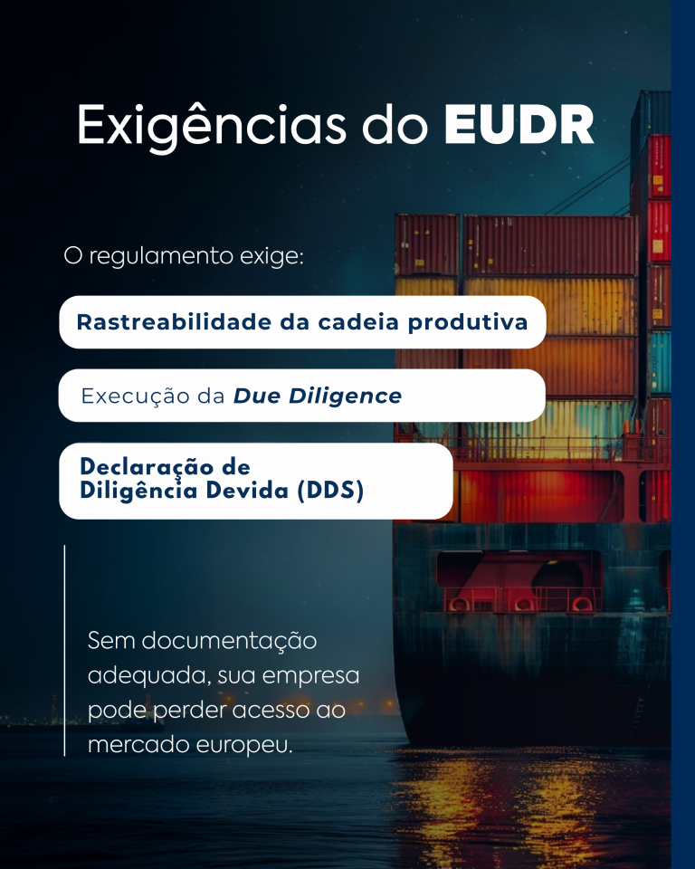 Execução da Due Diligence