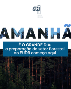 Amanhã é o grande dia!