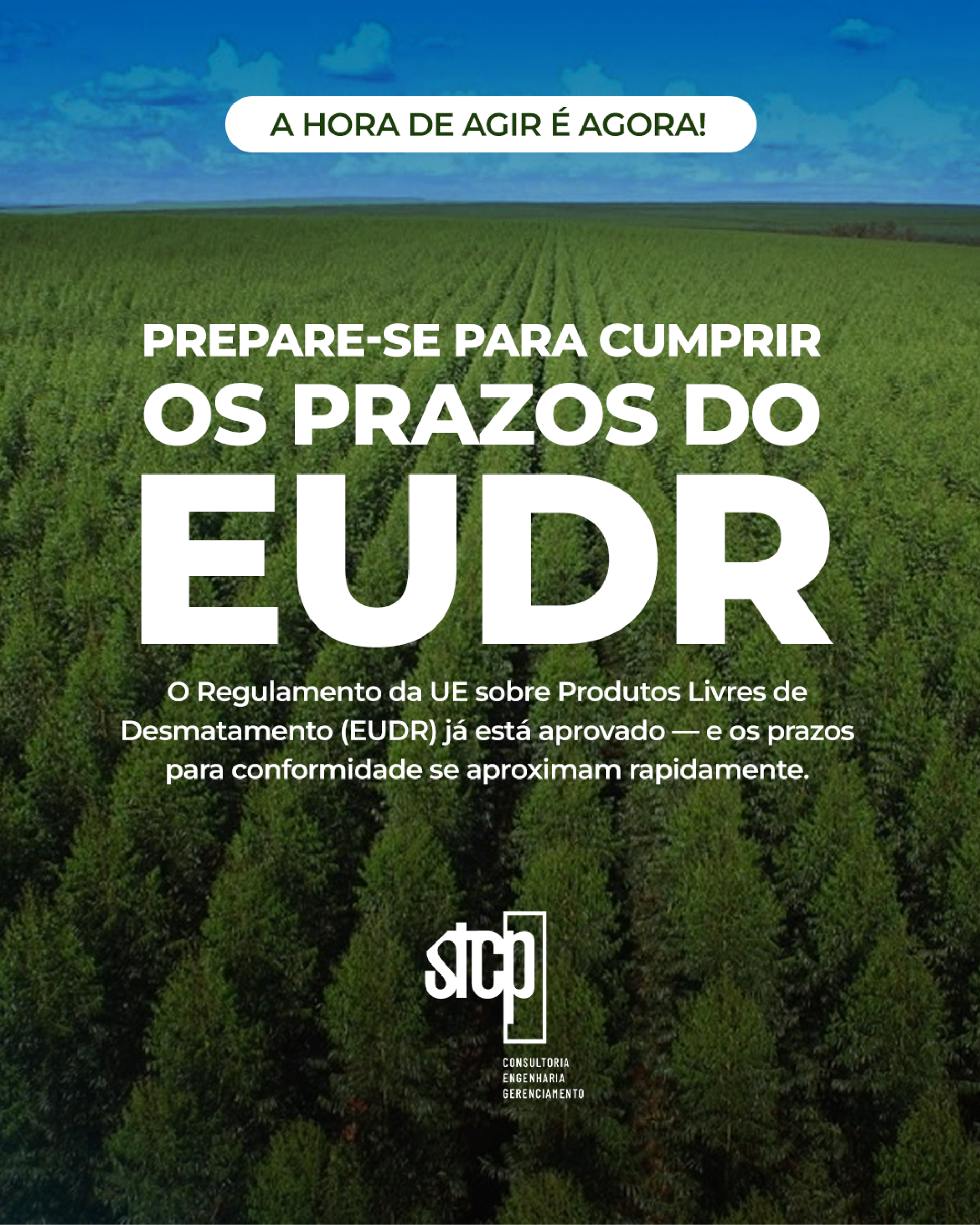 A hora de agir é agora: Prepare-Se Para Cumprir Os Prazos Do EUDR.
