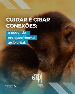Enriquecimento Ambiental – cuidar é criar conexões e despertar sentidos