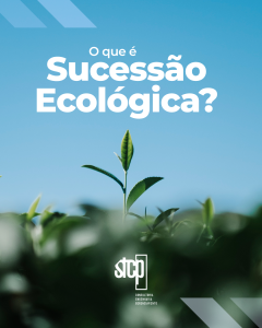 O que é Sucessão Ecológica?