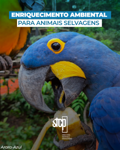 Enriquecimento alimentar e cognitivo: estratégias essenciais para o bem-estar animal em cativeiro