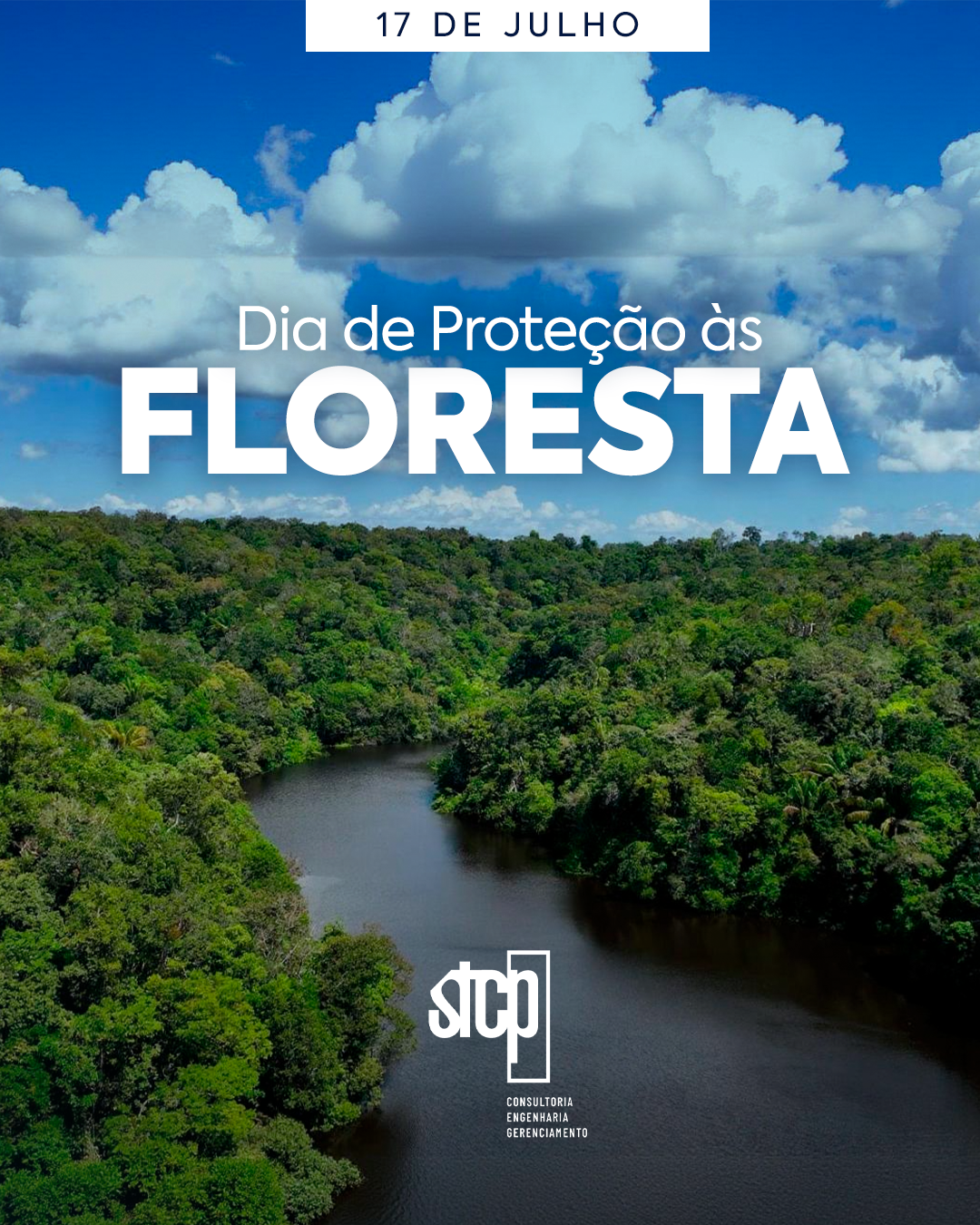 17 de Julho – Dia de Proteção às Florestas