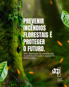 Prevenção e Combate a Incêndios Florestais: Responsabilidade Ambiental e Compromisso com o Futuro.