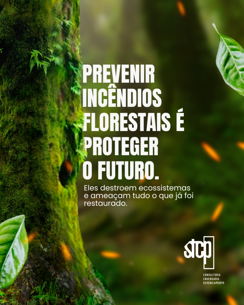 Prevenção e Combate a Incêndios Florestais: Responsabilidade Ambiental e Compromisso com o Futuro.