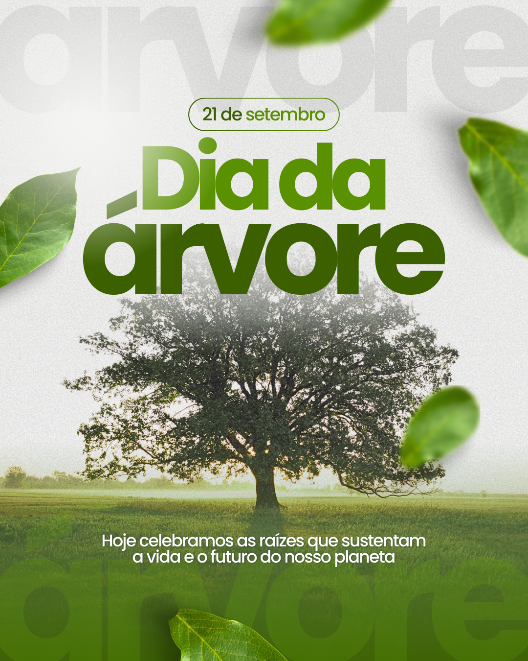 21 de setembro | Dia da Árvore
