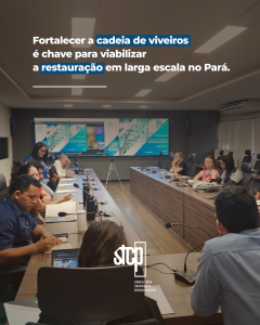 Fortalecer a cadeia de viveiros é chave para viabilizar a restauração em larga escala no Pará