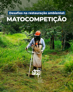 Desafios na restauração ambiental: matocompetição