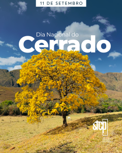 Dia Nacional do Cerrado | 11 de setembro