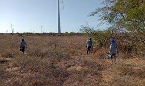 EXECUÇÃO DE PROJETO DE COMPENSAÇÃO AMBIENTAL PARA RECUPERAÇÃO FLORESTAL DE APP EM ARINOS-MG