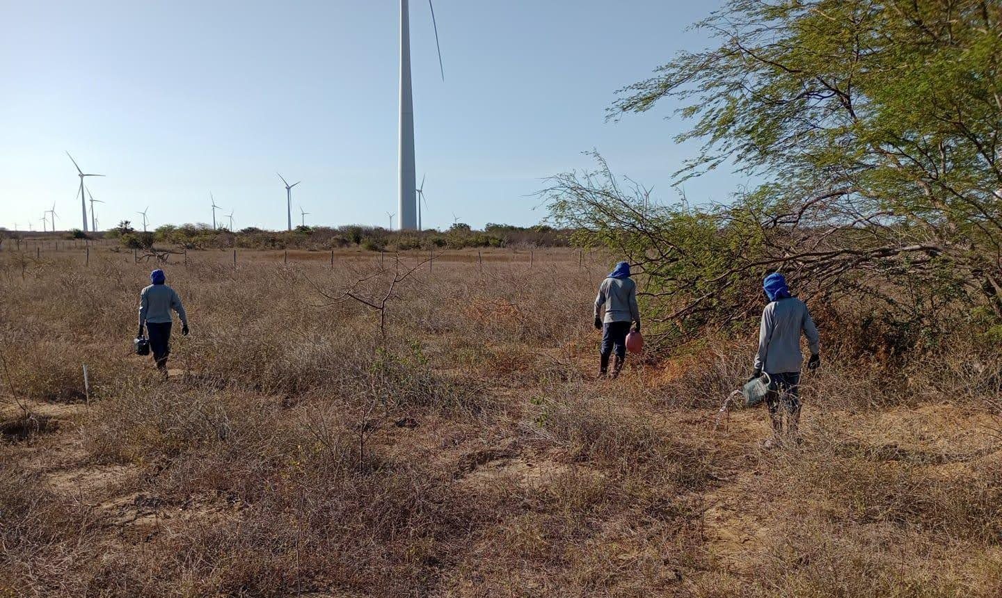 EXECUÇÃO DE PROJETO DE COMPENSAÇÃO AMBIENTAL PARA RECUPERAÇÃO FLORESTAL DE APP EM ARINOS-MG
