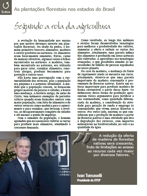Revista Opiniões publica análise de Ivan Tomaselli, presidente da STCP, sobre plantações florestais