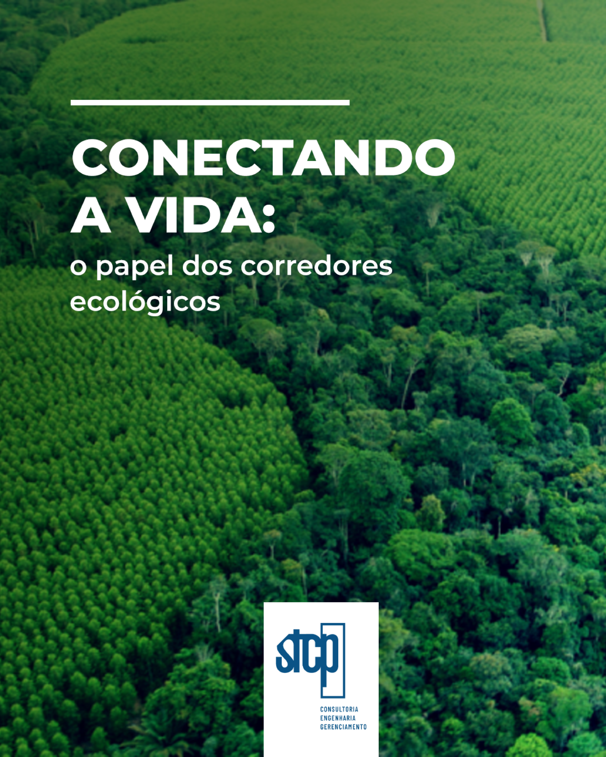 Conectando a vida: o papel dos corredores ecológicos