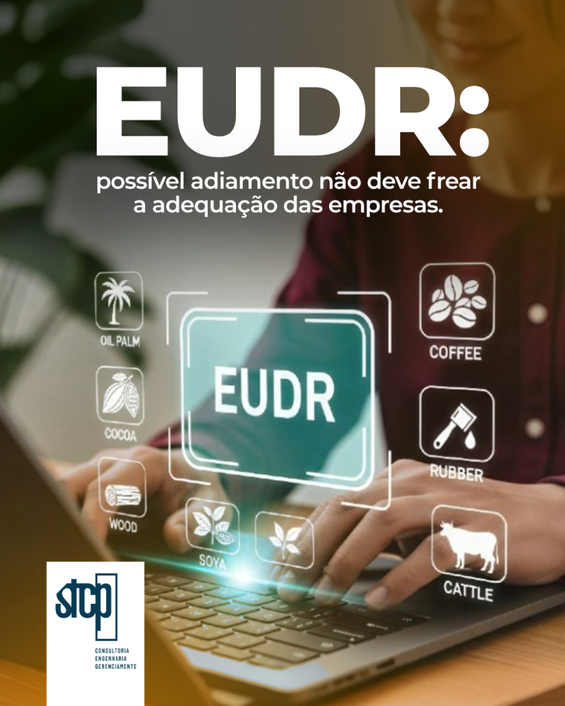 EUDR: possível adiamento não deve frear a adequação das empresas