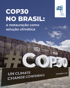 COP30 no Brasil e a restauração como solução climática