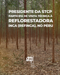 Presidente da STCP participa de visita técnica à Reflorestadora Inca (Refinca), no Peru