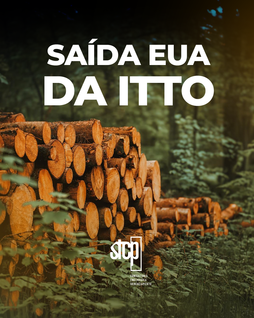 A saída dos Estados Unidos da ITTO e seus impactos ao comércio internacional de madeira tropical e ao Brasil