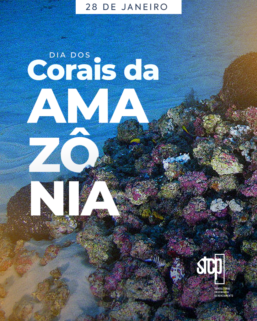 Dia Mundial dos Corais da Amazônia | 28 de janeiro