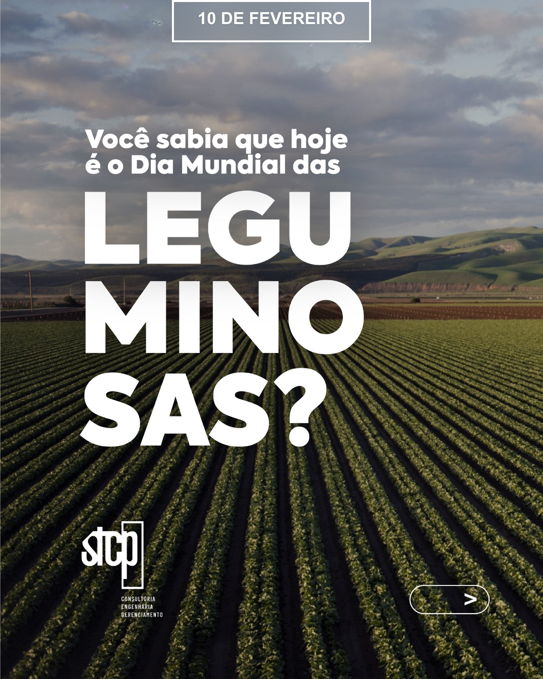 Você sabia que hoje é o Dia Mundial das Leguminosas?​
