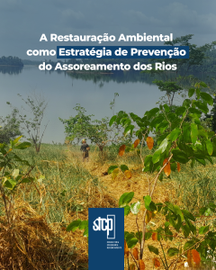 A Restauração Ambiental Como Estratégia De Prevenção Do Assoreamento Dos Rios.