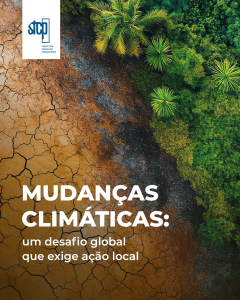 Decisões estratégicas sem análise econômica são apostas