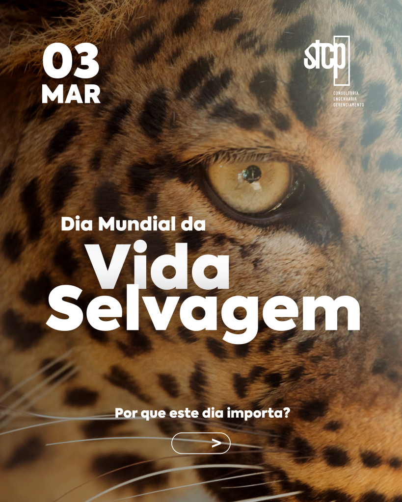 Dia Mundial da Vida Selvagem: A Importância da Preservação para o Futuro