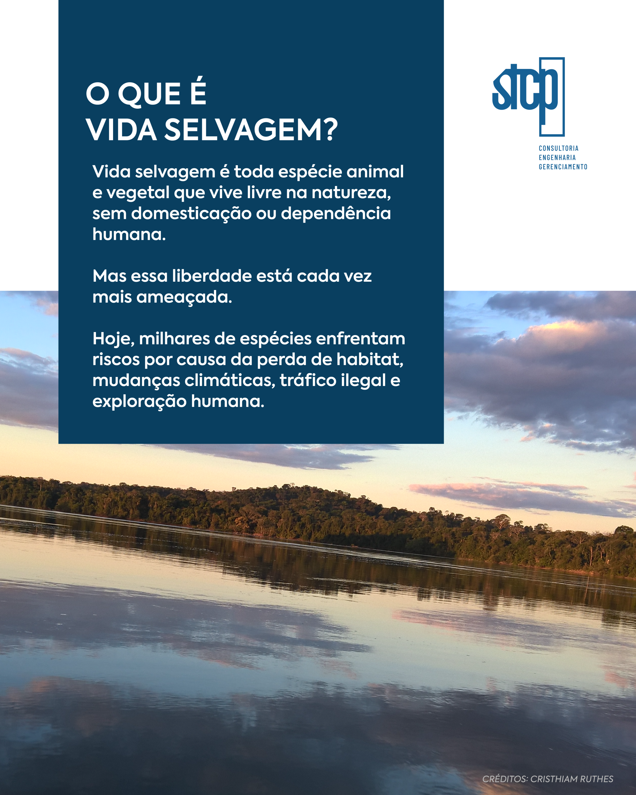 STCP_Sazonal_v1_3 (2)